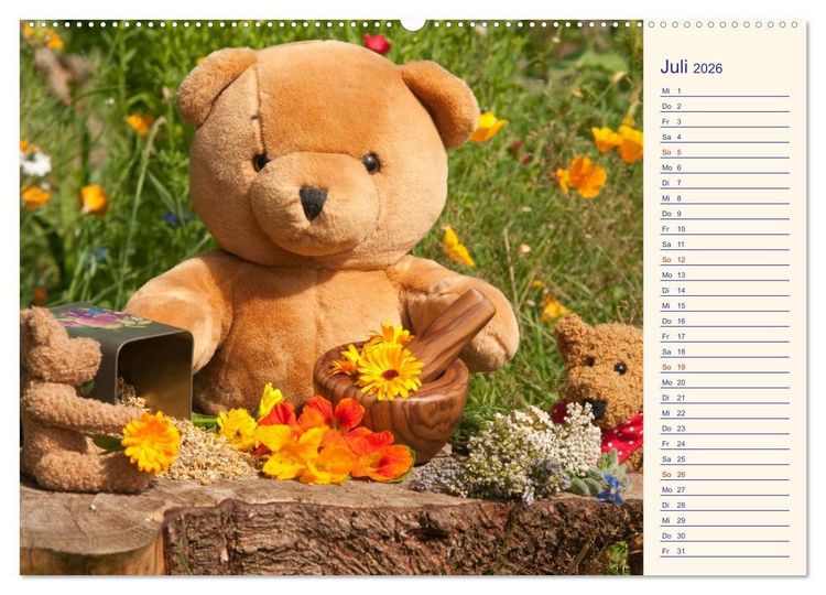 Produktbild: Geliebte B&auml;ren - Teddys (Wandkalender 2026 DIN A2 quer), CALVENDO Monatskalender