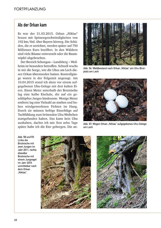 Produktbild: Der Uhu in Bayern