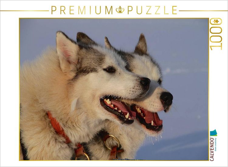 Produktbild: CALVENDO Puzzle Br&uuml;der | 1000 Teile Lege-Gr&ouml;&szlig;e 64x48cm Foto-Puzzle f&uuml;r gl&uuml;ckliche Stunden