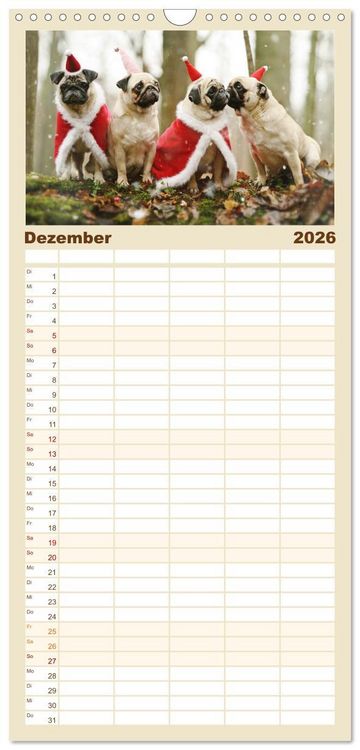 Produktbild: Familienplaner 2026 - Lustige M&ouml;pse aus der Hundeknipserei mit 5 Spalten (Wandkalender, 21 x 45 cm) CALVENDO