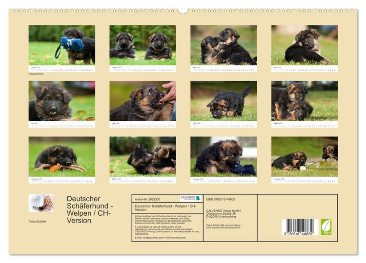 Produktbild: Deutscher Sch&auml;ferhund - Welpen / CH-Version (hochwertiger Premium Wandkalender 2026 DIN A2 quer), Kunstdruck in Hochglanz