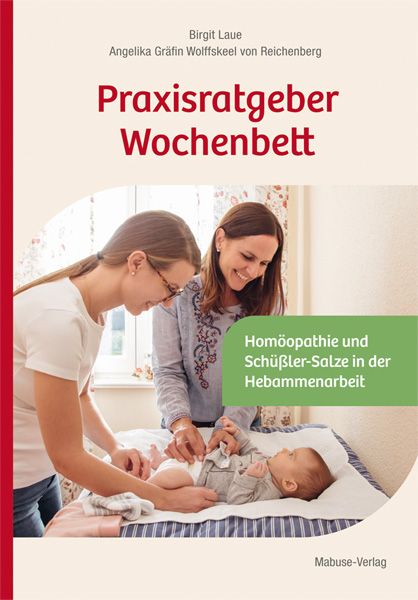 Produktbild: Praxisratgeber Wochenbett. Beschwerden lindern und vorbeugen.