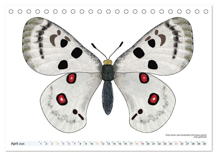Produktbild: Schmetterlinge illustriert (Tischkalender 2026 DIN A5 quer), CALVENDO Monatskalender