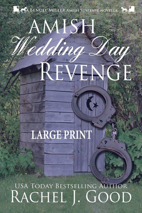 Produktbild: Amish Wedding Day Revenge