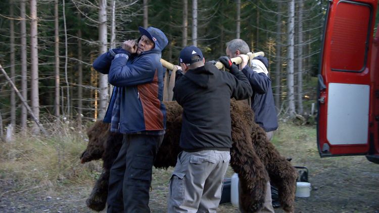 Produktbild: Trollhunter