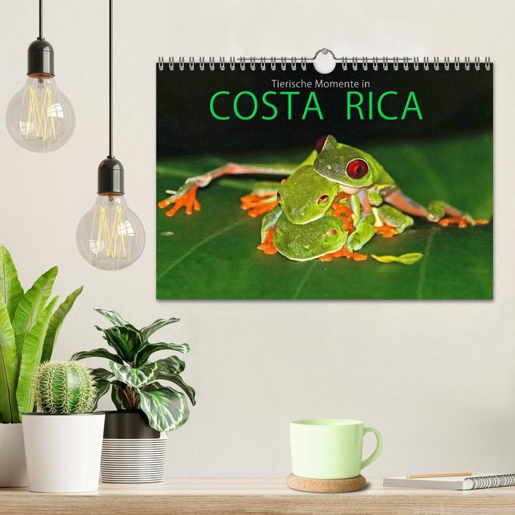 Produktbild: COSTA RICA - Tierische Momente (Wandkalender 2026 DIN A4 quer), CALVENDO Monatskalender