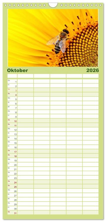Produktbild: Familienplaner 2026 - Die Welt der flei&szlig;igen Bienen mit 5 Spalten (Wandkalender, 21 x 45 cm) CALVENDO