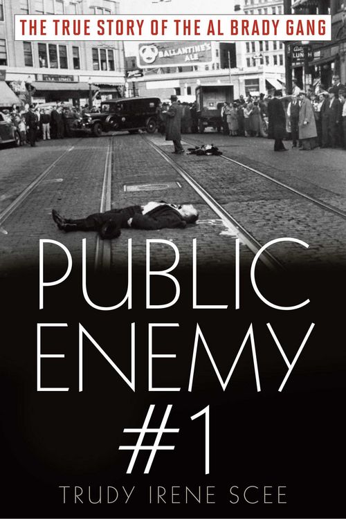 Produktbild: Public Enemy Number One