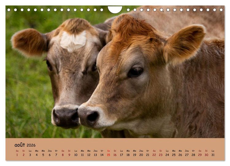 Produktbild: Les animaux de nos fermes (Calendrier mural 2026 DIN A4 vertical), CALVENDO calendrier mensuel
