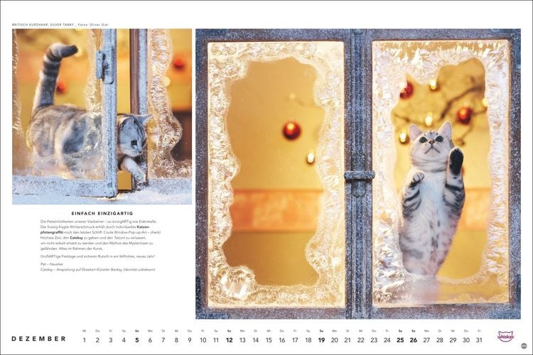 Produktbild: Whiskas Katzenkalender 2027