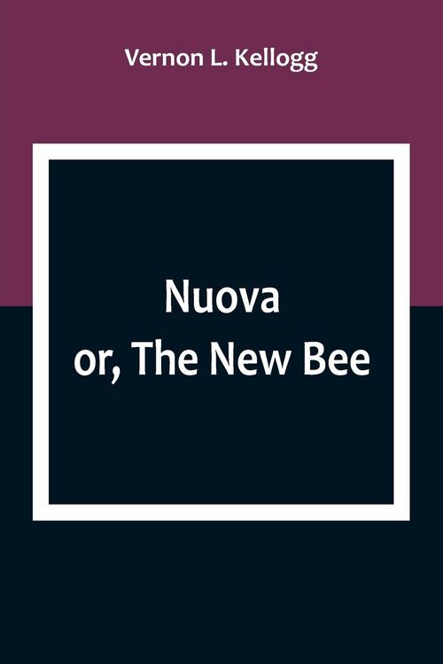 Produktbild: Nuova; or, The New Bee