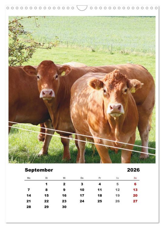 Produktbild: Bauernhoftiere, ganz nah dran (Wandkalender 2026 DIN A3 hoch), CALVENDO Monatskalender