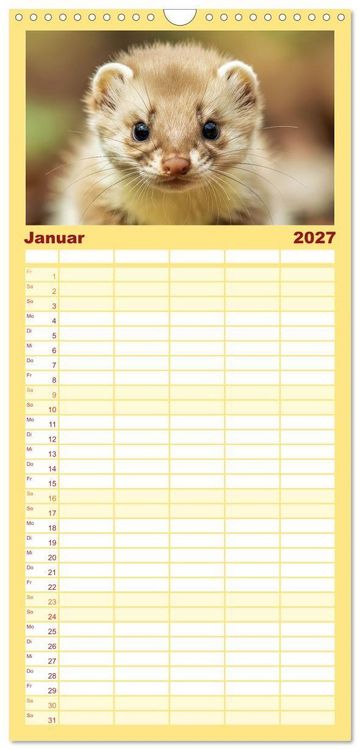 Produktbild: Familienplaner 2027 - Babys der Wildnis mit 5 Spalten (Wandkalender, 21 x 45 cm) CALVENDO