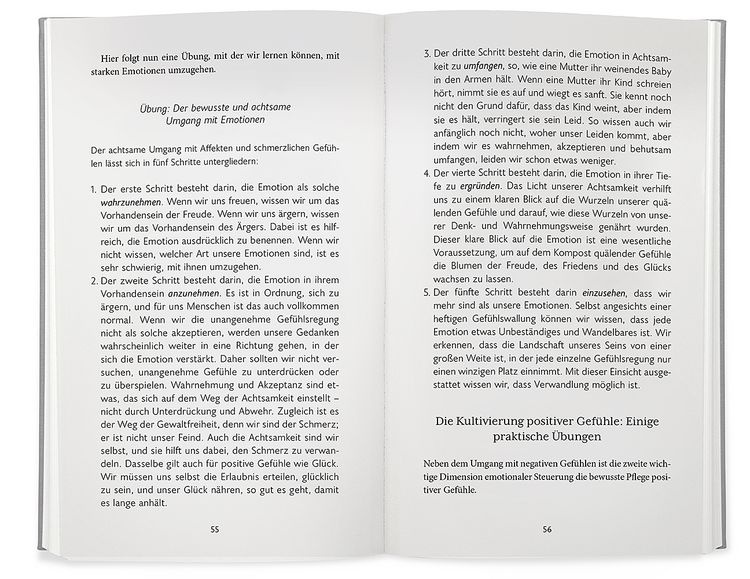 Produktbild: Der Gl&uuml;cksstandard