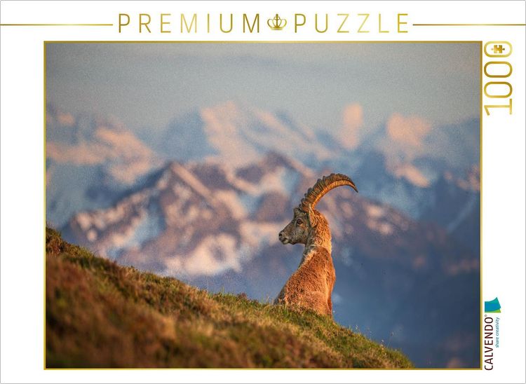 Produktbild: CALVENDO Puzzle Alpensteinbock | 1000 Teile Lege-Gr&ouml;&szlig;e 64x48cm Foto-Puzzle f&uuml;r gl&uuml;ckliche Stunden