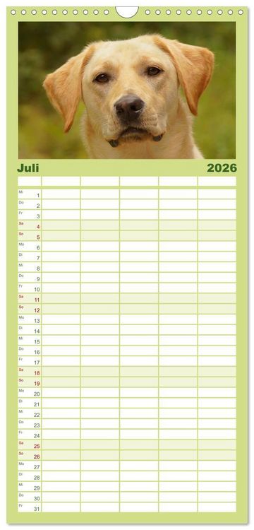 Produktbild: Familienplaner 2026 - Muh, M&auml;h, Miau & Co mit 5 Spalten (Wandkalender, 21 x 45 cm) CALVENDO
