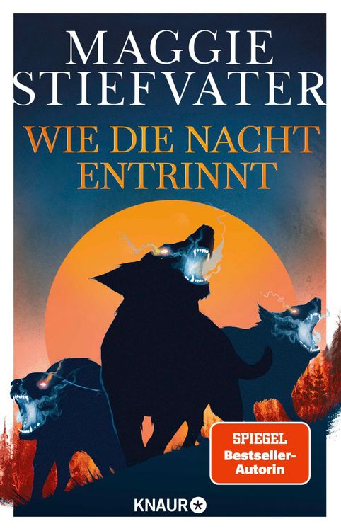 Produktbild: Wie die Nacht entrinnt