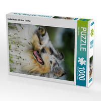 Produktbild: CALVENDO Puzzle Collie Mutter mit ihrer Tochter 1000 Teile Lege-Gr&ouml;&szlig;e 48 x 64 cm Foto-Puzzle Bild von Sigrid Starick
