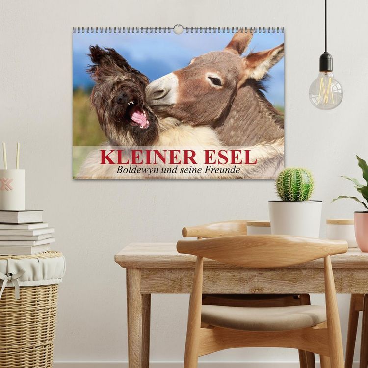 Produktbild: Kleiner Esel. Boldewyn und seine Freunde (Wandkalender 2026 DIN A3 quer), CALVENDO Monatskalender
