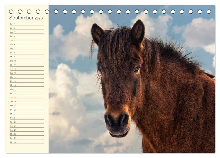 Produktbild: Mit Islandpferden durch das Jahr Geburtstagskalender (Tischkalender 2026 DIN A5 quer), CALVENDO Monatskalender