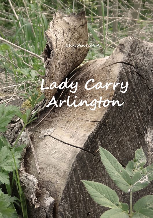 Produktbild: Lady Carry Arlington