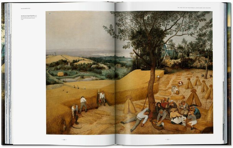 Produktbild: Bruegel