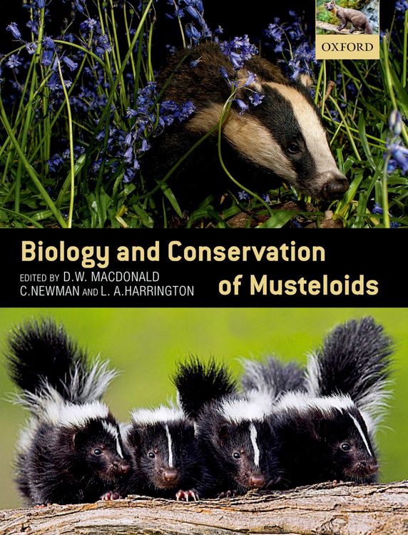 Produktbild: Biology and Conservation of Musteloids