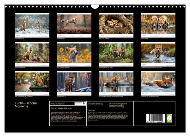 Produktbild: Fuchs - sch&ouml;ne Momente (Wandkalender 2026 DIN A3 quer), CALVENDO Monatskalender
