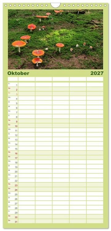 Produktbild: Familienplaner 2027 - Pilze - tolle Funde mit 5 Spalten (Wandkalender, 21 x 45 cm) CALVENDO