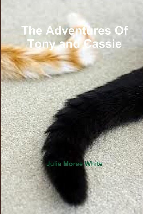 Produktbild: The Adventures Of Tony and Cassie