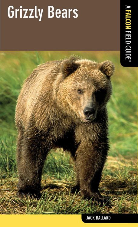 Produktbild: Grizzly Bears