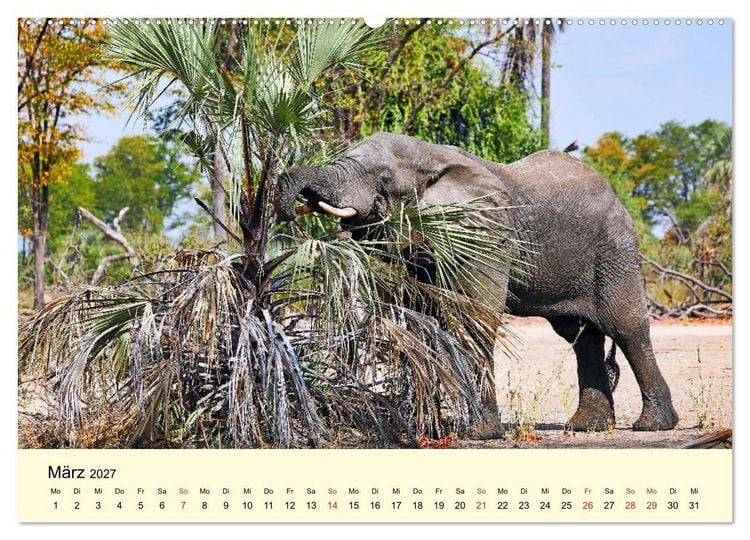 Produktbild: Traumhaftes Malawi (Wandkalender 2027 DIN A2 quer), CALVENDO Monatskalender