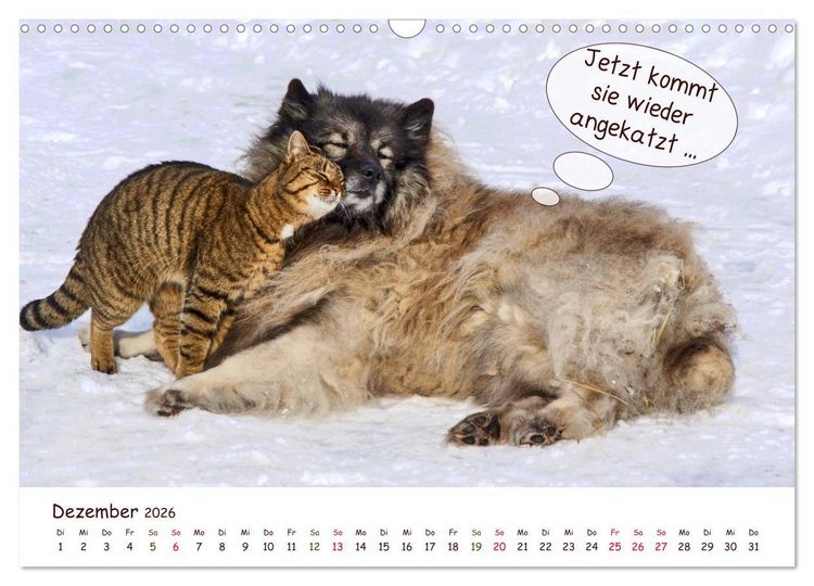 Produktbild: Frei Schnauze 2026. Was Hunde am liebsten sagen w&uuml;rden (Wandkalender 2026 DIN A3 quer), CALVENDO Monatskalender
