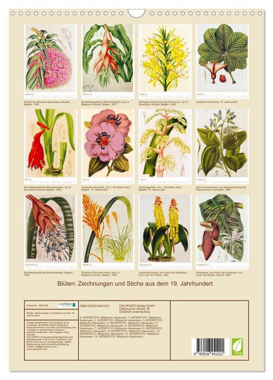 Produktbild: Bl&uuml;ten: Zeichnungen und Stiche aus dem 19. Jahrhundert (Wandkalender 2026 DIN A3 hoch), CALVENDO Monatskalender