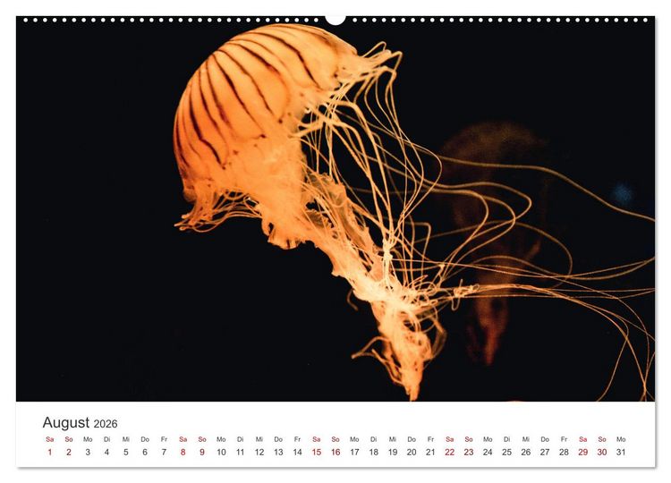 Produktbild: Tiefsee - Ein Abenteuer ins Unbekannte. (hochwertiger Premium Wandkalender 2026 DIN A2 quer), Kunstdruck in Hochglanz