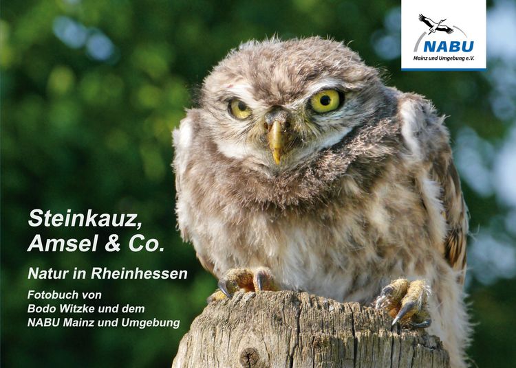 Produktbild: Steinkauz, Amsel & Co.