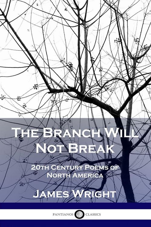 Produktbild: The Branch Will Not Break