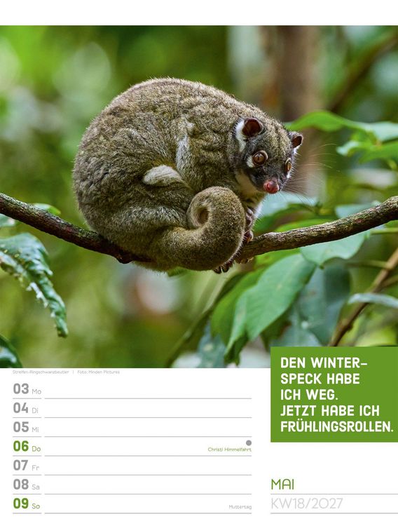 Produktbild: Tierisch Spr&uuml;chekalender Wochenplaner 2027