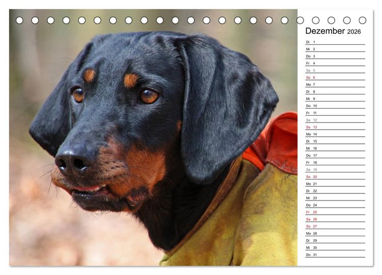 Produktbild: Der Brandlbracken-Terminplaner (Tischkalender 2026 DIN A5 quer), CALVENDO Monatskalender