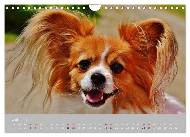 Produktbild: Dein Hund der treue Begleiter (Wandkalender 2026 DIN A4 quer), CALVENDO Monatskalender