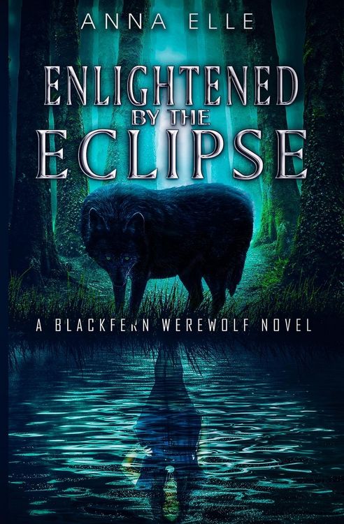 Produktbild: Enlightened by the Eclipse