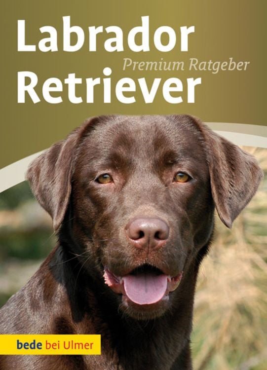 Produktbild: Labrador Retriever