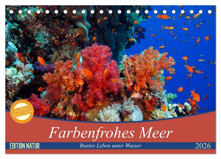 Produktbild: Farbenfrohes Meer (Tischkalender 2026 DIN A5 quer), CALVENDO Monatskalender