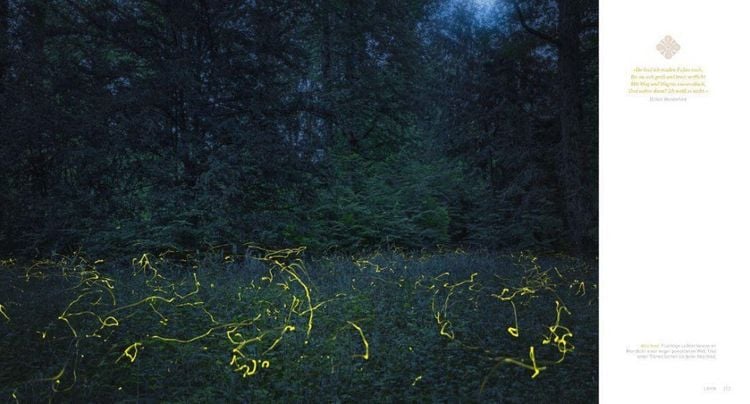 Produktbild: Auenland und D&uuml;sterwald