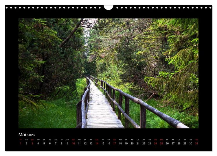 Produktbild: W&auml;lder, fotografiert auf vier Kontinenten (Wandkalender 2026 DIN A3 quer), CALVENDO Monatskalender