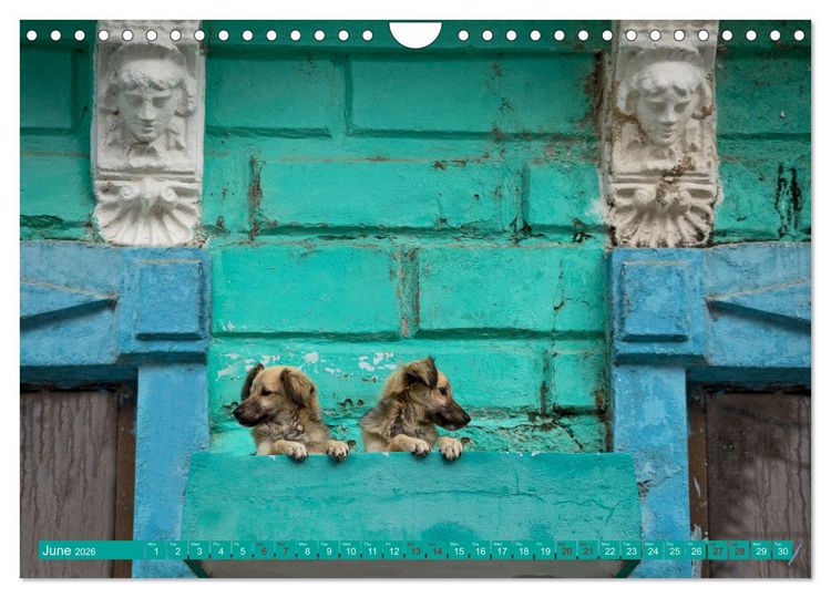 Produktbild: CUBA CARIBBEAN DREAM DESTINATION (Wall Calendar 2026 DIN A4 landscape), CALVENDO 12 Month Wall Calendar