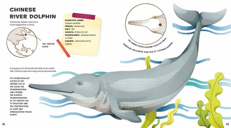 Produktbild: Weird and Wonderful Extinct Animals