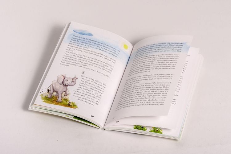Produktbild: Zauberwald & Zwergenkraft