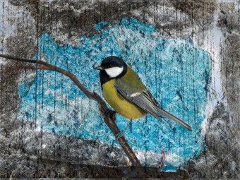 Produktbild: CALVENDO Puzzle Kohlmeise | 1000 Teile Lege-Gr&ouml;&szlig;e 64x48cm Foto-Puzzle f&uuml;r gl&uuml;ckliche Stunden
