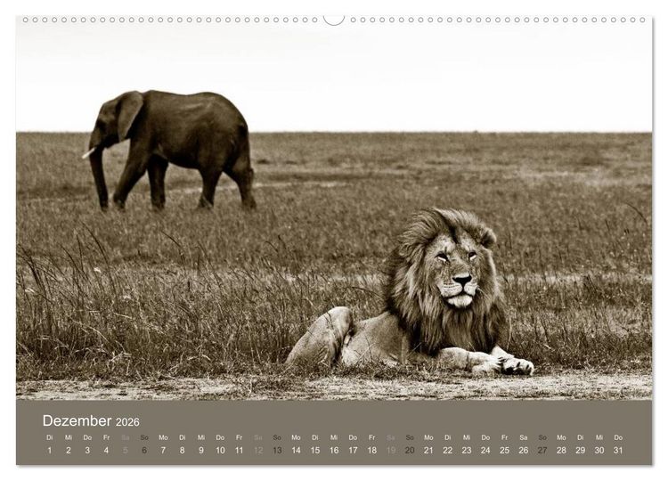 Produktbild: Wildes Afrika (hochwertiger Premium Wandkalender 2026 DIN A2 quer), Kunstdruck in Hochglanz